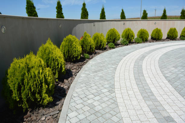 Best Local Driveway Pavers  in Cutlerville, MI